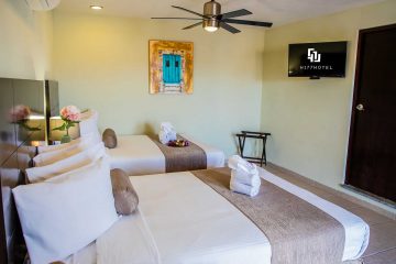 31. JUNIOR SUITE TERRAZA
