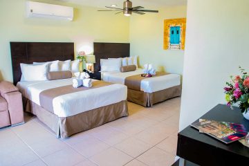 32. JUNIOR SUITE TERRAZA